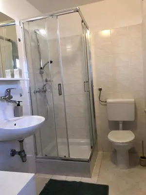 a bathroom with a shower and a toilet and a sink at Spa House Lotus in Terme Čatež in Čatež ob Savi