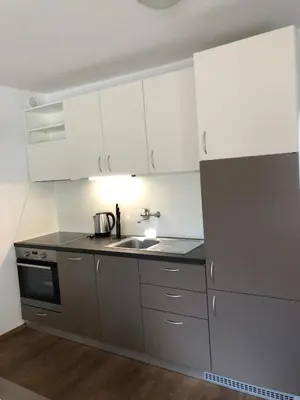 a kitchen with white cabinets and a sink at Spa House Lotus in Terme Čatež in Čatež ob Savi