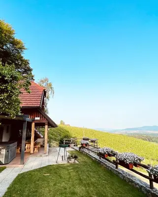 a pavilion with a table and benches in the grass at Vineyard cottage Skriti raj in Leskovec pri Krškem