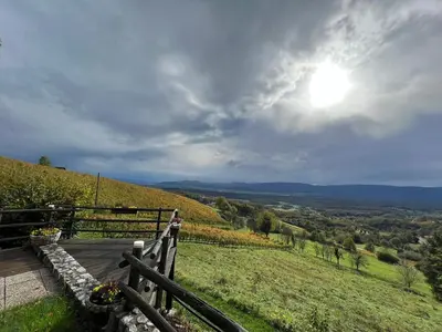 a wooden boardwalk with a view of a hill at Vineyard cottage Skriti raj in Leskovec pri Krškem