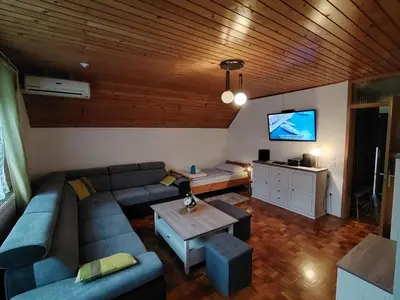 a living room with a couch and a tv at Fantastic Apartment Brglez in Bohinjska Bela