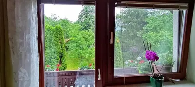 a window with a flower in a vase in front of it at Fantastic Apartment Brglez in Bohinjska Bela