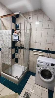 a bathroom with a shower and a washing machine at Fantastic Apartment Brglez in Bohinjska Bela