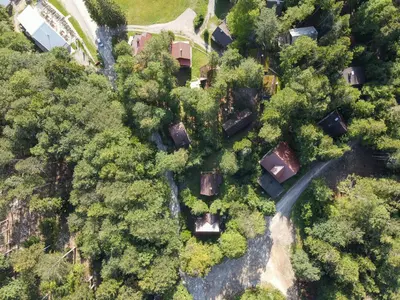 an overhead view of a forest with trees and a road at Koča Kresnica in Ilirska Bistrica