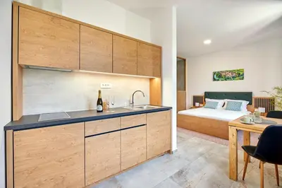 a kitchen with a sink and a bed in a room at Ob Krki Apartments and GYM in Kostanjevica na Krki