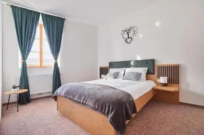 a bedroom with a large bed and a window at Ob Krki Apartments and GYM in Kostanjevica na Krki