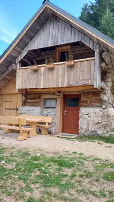 a wooden cabin with a picnic table in front of it at Hut Vaznik in Mrzli Studenec