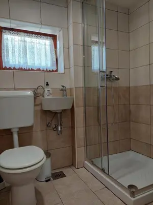 a bathroom with a toilet and a shower and a sink at Hut Vaznik in Mrzli Studenec