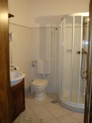 a bathroom with a toilet and a shower and a sink at Belica Bed and Breakfast in Dobrovo