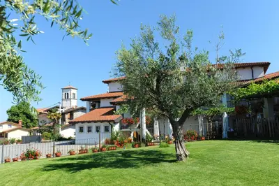 a tree in a yard in front of a house at Belica Bed and Breakfast in Dobrovo