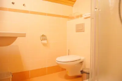 a bathroom with a white toilet and a sink at Cottage House Jakob in Cerklje na Gorenjskem