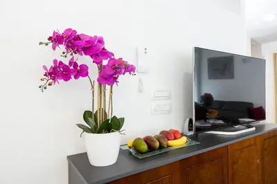 a vase with purple flowers on a counter with fruit at Villa Mihaela in Bled