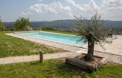 a small tree in a pot next to a swimming pool at Hiska B&N Podlehnik in Podlehnik