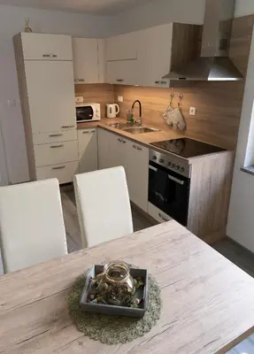 a kitchen with a table with chairs and a sink at GreenRiver Apartment in Spodnje Gorje