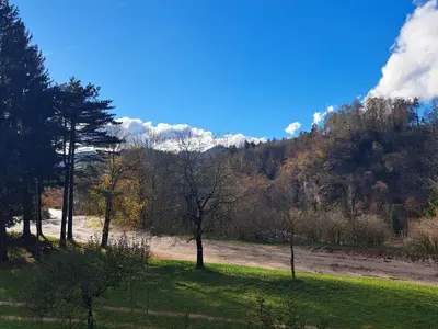 a field of grass with trees and a dirt road at GreenRiver Apartment in Spodnje Gorje