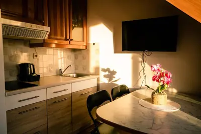 a kitchen with a table with a vase of flowers on it at POČITNIŠKI APARTMAJI - Trobentica 37 Apartment Golf Moravske Toplice in Moravske Toplice