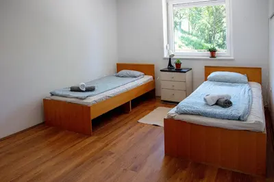 a bedroom with two beds and a window at Elegant House in a Beautiful Village in Cerklje ob Krki