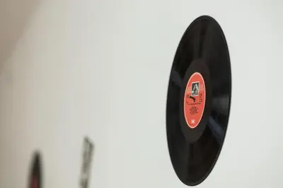 a close up of a black vinyl record at Nice family friendly apartment in the city center in Ljubljana