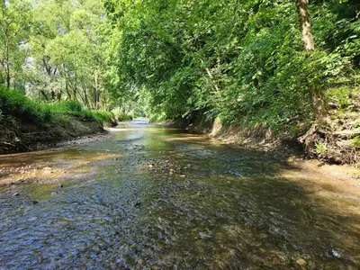 a river with trees on the side of it at Villa Hojnik in Videm pri Ptuju