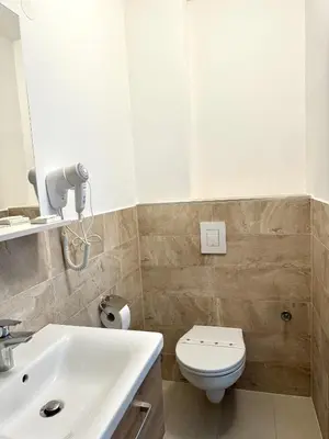 a bathroom with a white sink and a toilet at L&L rooms in Maribor