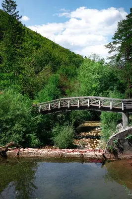 a wooden bridge over a river in a forest at Prima Countryside Apartments in Žirovnica