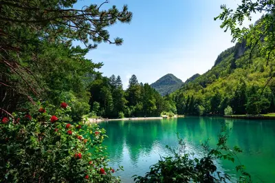 a view of a lake with mountains in the background at Prima Countryside Apartments in Žirovnica
