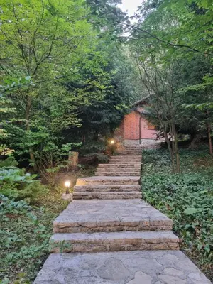 a set of stone steps in a garden with lights at Cottage by the pond Pavel in Šmarje pri Jelšah