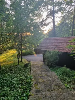 a walkway next to a building in a forest at Cottage by the pond Pavel in Šmarje pri Jelšah
