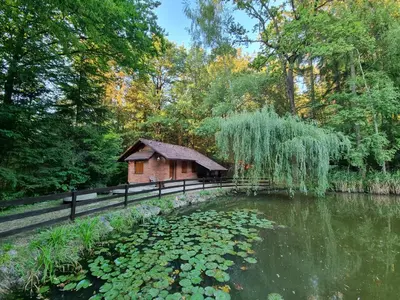 a small wooden cabin next to a pond with lilies at Cottage by the pond Pavel in Šmarje pri Jelšah