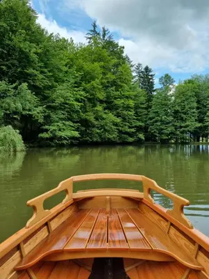 a wooden boat on the water with trees in the background at Cottage by the pond Pavel in Šmarje pri Jelšah