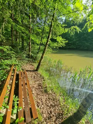 a wooden bench sitting next to a body of water at Cottage by the pond Pavel in Šmarje pri Jelšah