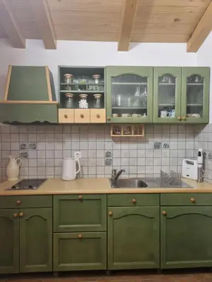 a kitchen with green cabinets and a sink at Cottage by the pond Pavel in Šmarje pri Jelšah