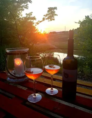 two glasses of wine and a bottle on a table with the sunset at Krasberry Ježev brlog in Komen