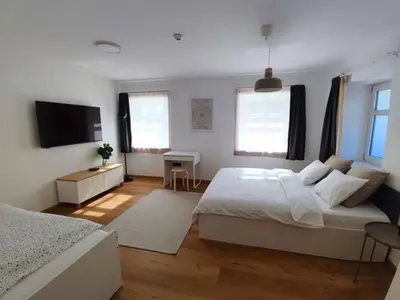 a bedroom with a large bed and a television at Corner House Apartments near Lake Bled in Radovljica