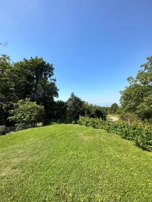 a field of green grass with trees in the background at Holiday House Tomajna in Podlehnik