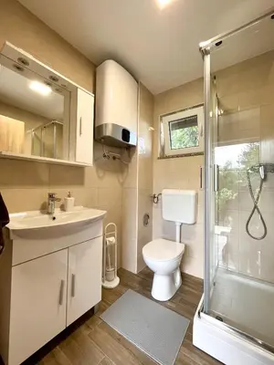 a bathroom with a toilet and a sink and a shower at Holiday House Tomajna in Podlehnik
