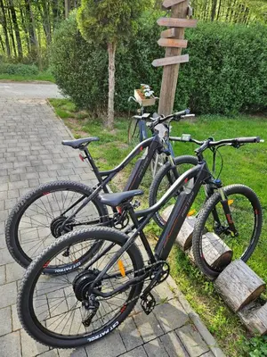 two bikes are parked next to a wooden sign at Gozdarjeva hiška M&K in Dobrovnik