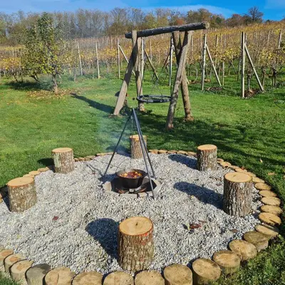 a fire pit in a garden with logs and a swing at Gozdarjeva hiška M&K in Dobrovnik