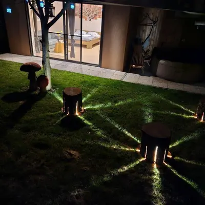 a group of tree stumps in the grass with lights at Gozdarjeva hiška M&K in Dobrovnik