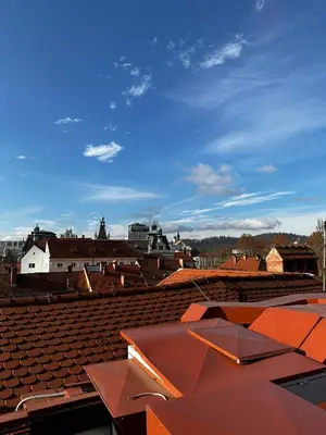 a view from the roof of a building with red roofs at The Hotel Ljubljana in Ljubljana