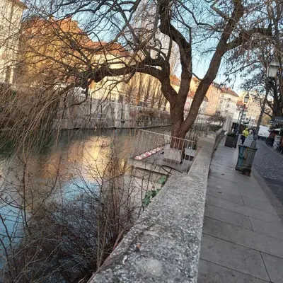 a tree and a sidewalk next to a river at The Hotel Ljubljana in Ljubljana