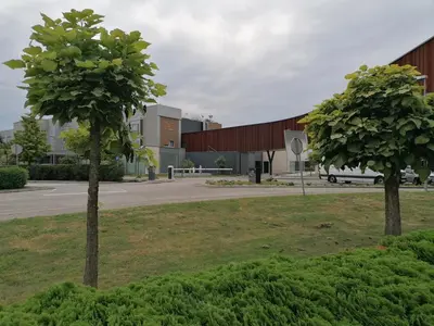 two trees in a field in front of a building at Apartma Petja in Moravske Toplice
