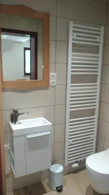 a bathroom with a sink and a toilet and a mirror at Apartma Lara in Bled