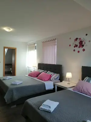 a bedroom with two beds with pink pillows at Sobe pri Roži in Postojna