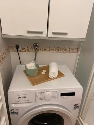 a washer and dryer with a bowl on top of it at Bee's Place Holiday Home Kranjska Gora in Kranjska Gora