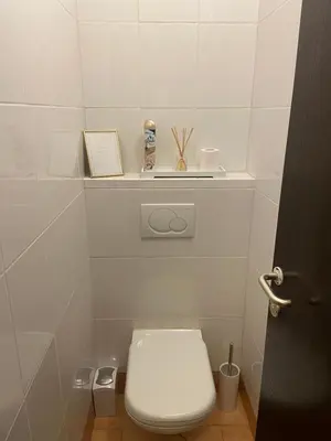 a small bathroom with a toilet and a book at Bee's Place Holiday Home Kranjska Gora in Kranjska Gora