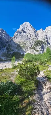 a field with a mountain in the background at Apartma Vidic in Gozd Martuljek