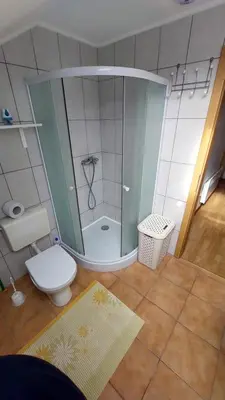 a small bathroom with a shower and a toilet at Apartma ASJA in Brežice