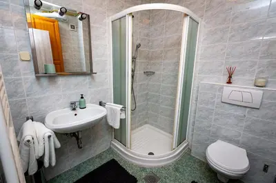 a bathroom with a shower and a sink and a toilet at Prijeten sončen apartma v objemu Pohorja in Zgornje Hoče