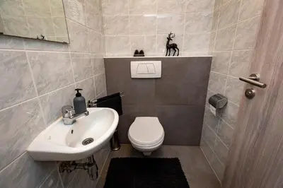 a bathroom with a toilet and a sink at Prijeten sončen apartma v objemu Pohorja in Zgornje Hoče